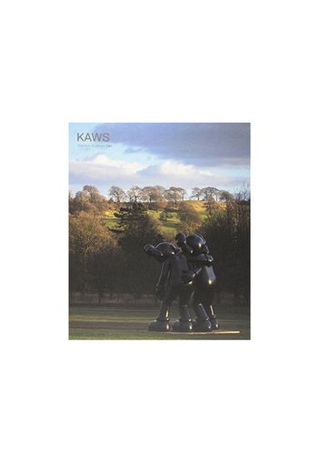 KAWS Catalogue at Yorkshire Sculpture Park Paperback Book