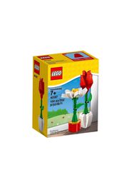 LEGO Valentines Day Flower Display Set 40187