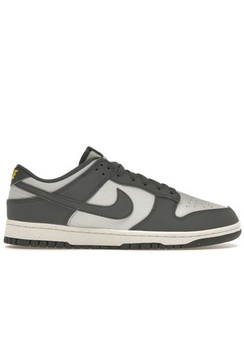 Nike Dunk Low Next Nature Iron Grey Lightning