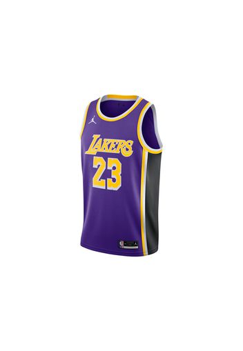 Nike NBA Los Angeles Lakers Lebron James Statement Edition 2020 Swingman Jersey Purple/Yellow