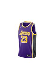 Nike NBA Los Angeles Lakers Lebron James Statement Edition 2020 Swingman Jersey Purple/Yellow