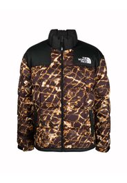 The North Face Lhotse Jacket Black/Gold