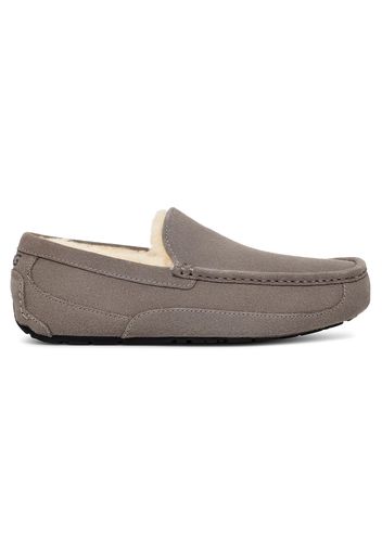 UGG Ascot Slipper Grey