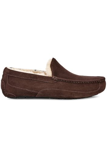 UGG Ascot Slipper Espresso