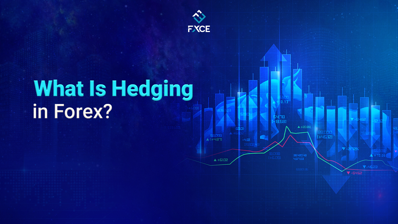 what is hedging