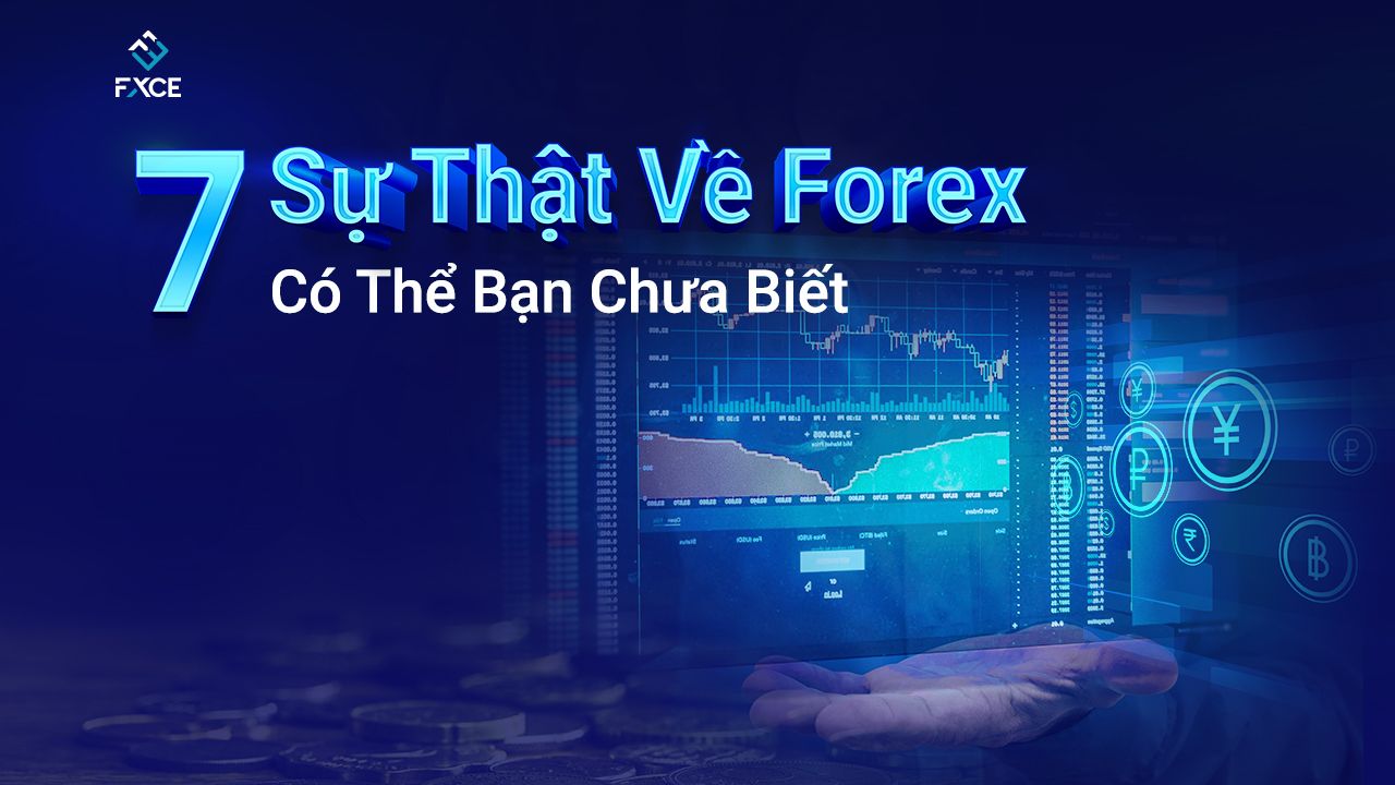 wefinex 🐯 【Google nhập : 009BET】 Sự Quyết Tâm Và Chiến Thắng: Bí Quyết Trở  Thành Chuyên Gia Cá Cược Thể Thao