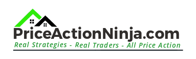 PriceActionNinja.com Logo