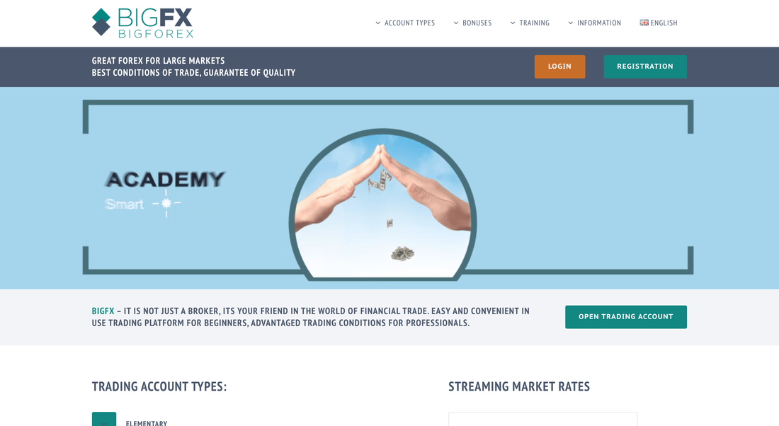BigFX website
