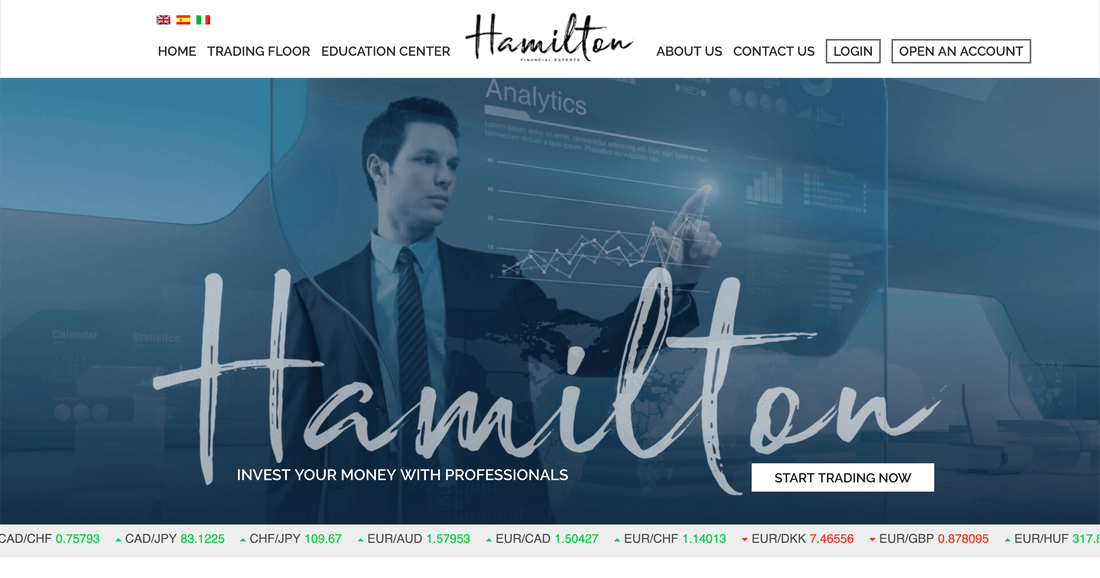 HamiltonFE website
