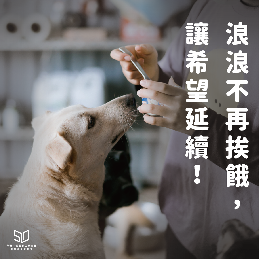 社團法人臺中市月園流浪動物照護協會