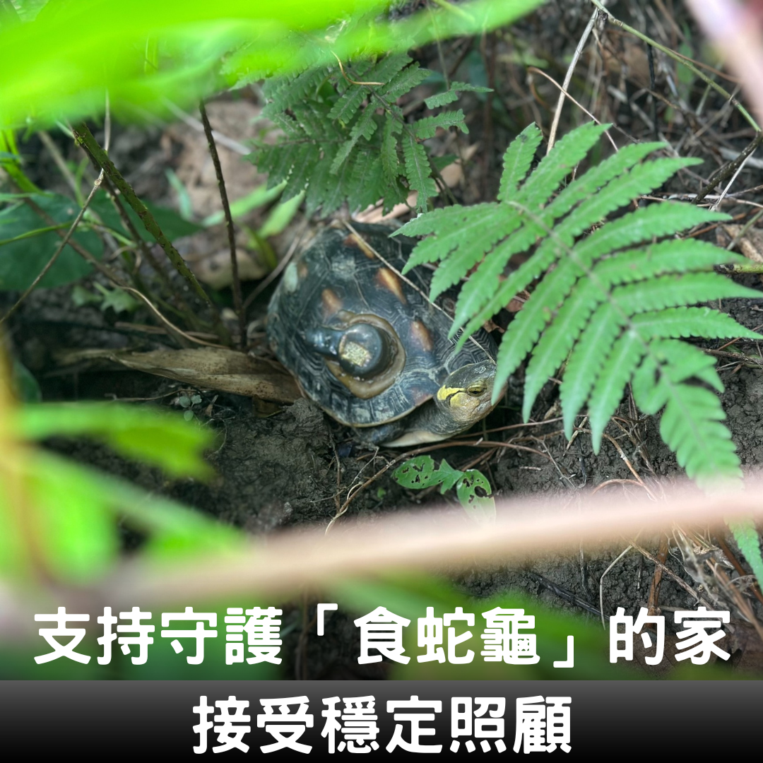 雲林縣湖山水庫人文生態保護協會