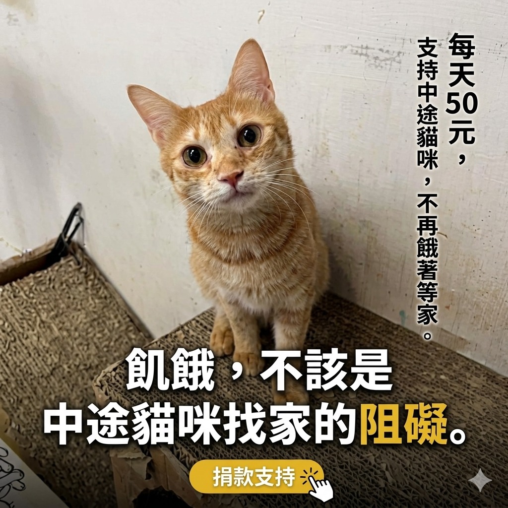 社團法人花蓮縣202巷喵屋關懷協會
