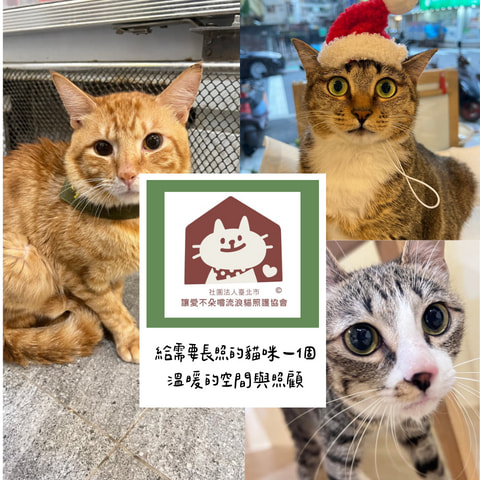 社團法人臺北市讓愛不朵嚐流浪貓照護協會