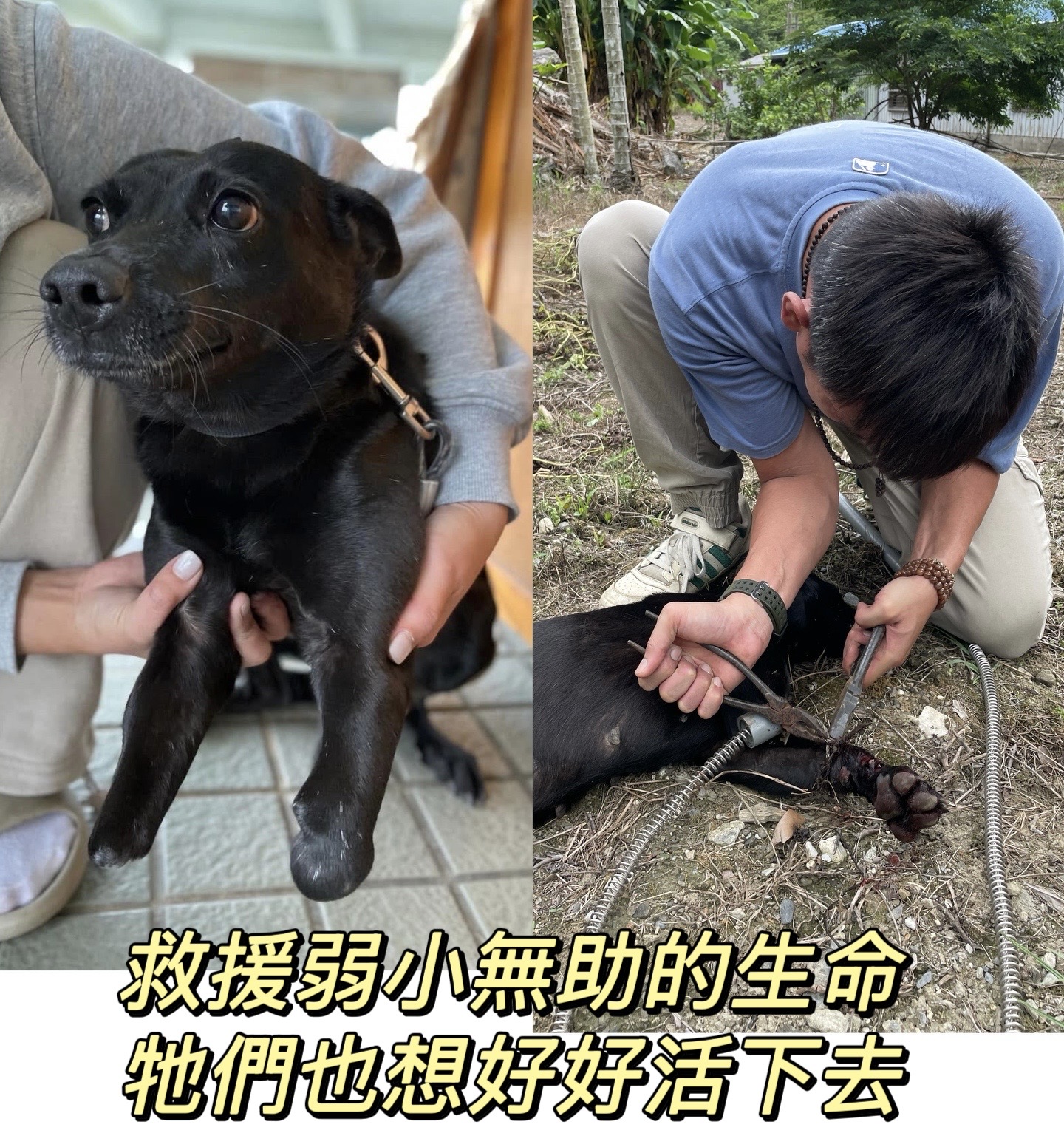 社團法人宜蘭浪孩協會