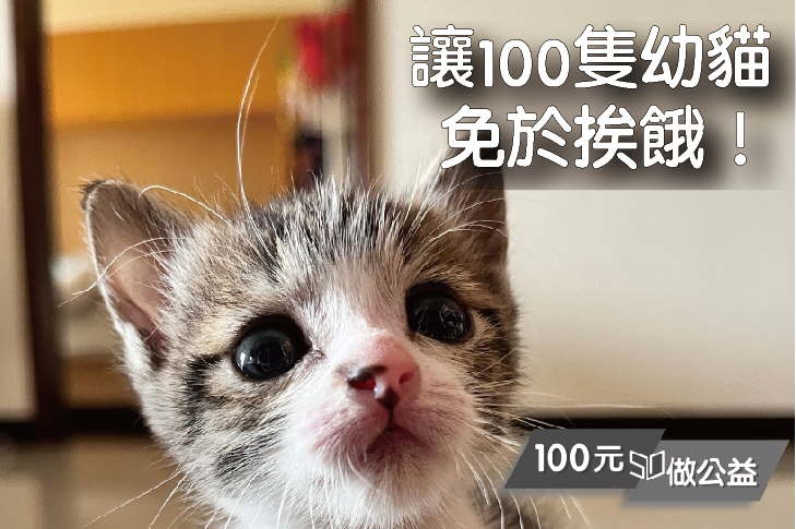 支持100隻離乳幼貓安心長大！