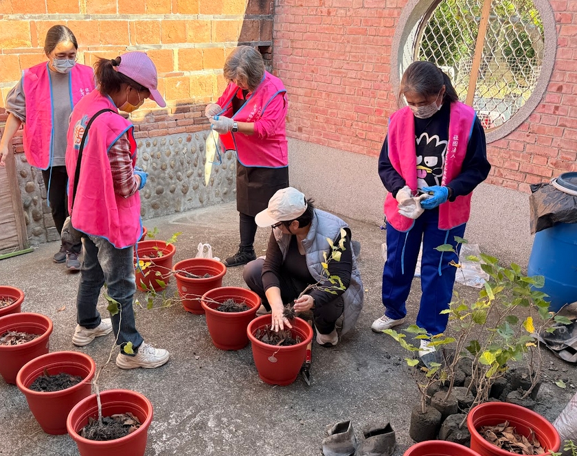 盆栽中以枯枝落葉為基底，提升植物排水、透氣效率，又可以成為植物的肥料。