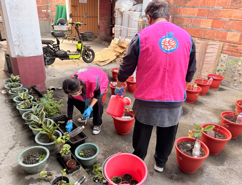 不定期針對植物生長狀況整理