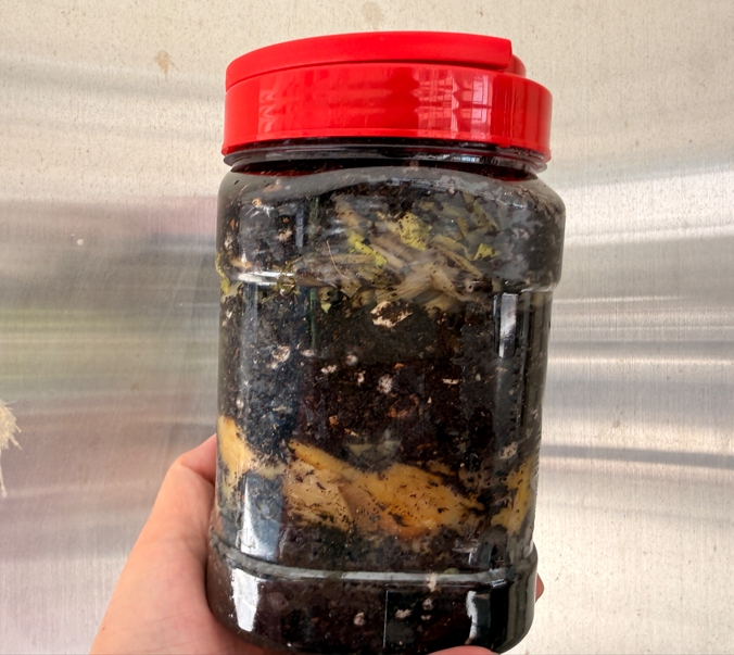 家用生廚餘堆肥試做瓶