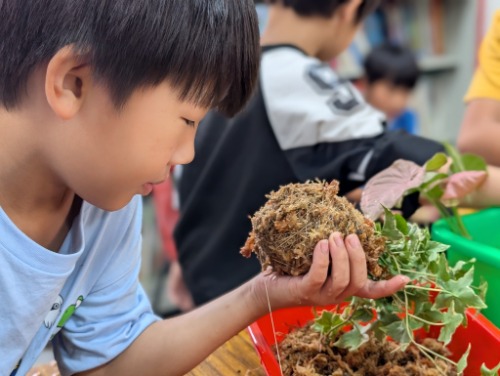 可能是幼苗的圖像