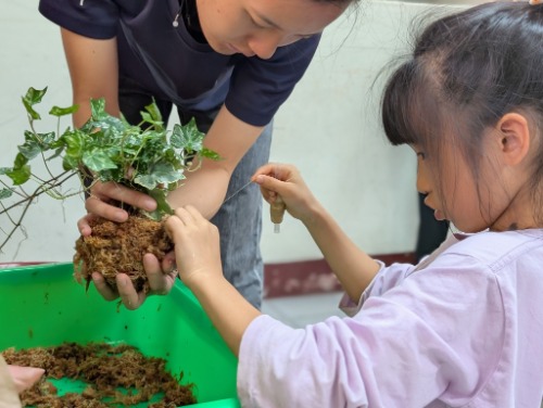 未提供相片說明。