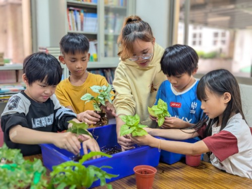 未提供相片說明。