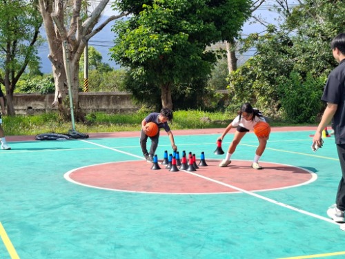 可能是籃球的圖像