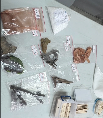 講師提供完成第一階段的染劑原料，讓學員學習如何取材、處理和保存。