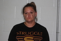 Mugshot of TONI JEWELL MCLAUGHLIN