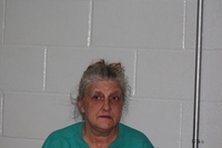 Mugshot of VANFOSSEN, JESSICA L