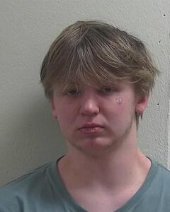 Mugshot of MALLETT, LEO V