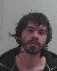Mugshot of DEVEAU, KAMEN M