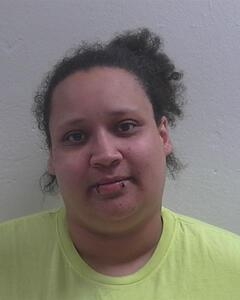 Mugshot of HUDRICK, SARAH E