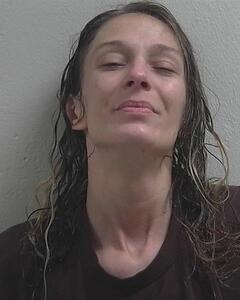 Mugshot of COSMA, AMANDA J