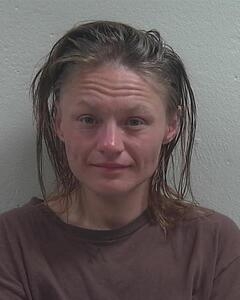 Mugshot of VIEAU, NICHOLE J