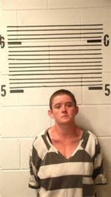 Mugshot of APRIL BRASWELL