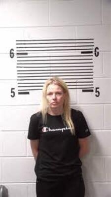 Mugshot of JOHNSON, BRANDY