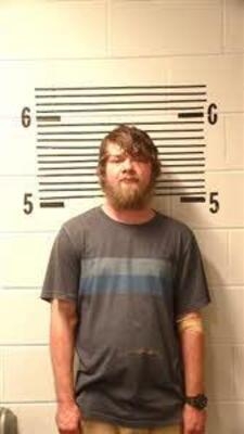 Mugshot of AGELINK, ANDREW