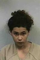 Mugshot of VIATOR, KARI L