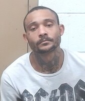 Mugshot of WILLIAMS, ANTHONY D