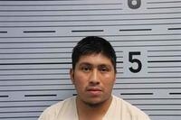 Mugshot of RAMIREZ, LOUIS