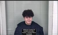 Mugshot of HAYNES, DESTINIE