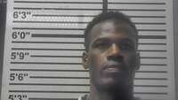 Mugshot of RICHARDSON, JARVIS