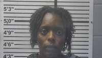 Mugshot of WINDHAM, TEMIKA