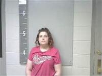 Mugshot of STEPHENS, HEIDI