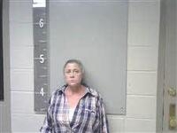 Mugshot of PERRY, DAWN
