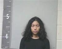 Mugshot of IRIS VAZQUEZ