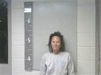 Mugshot of TOWRY, TINA