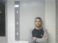 Mugshot of DIAZ-ALVARENGA, RAUL