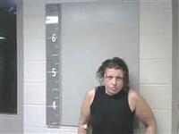 Mugshot of LEE, SARA
