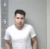 Mugshot of MILTON CASTILLO